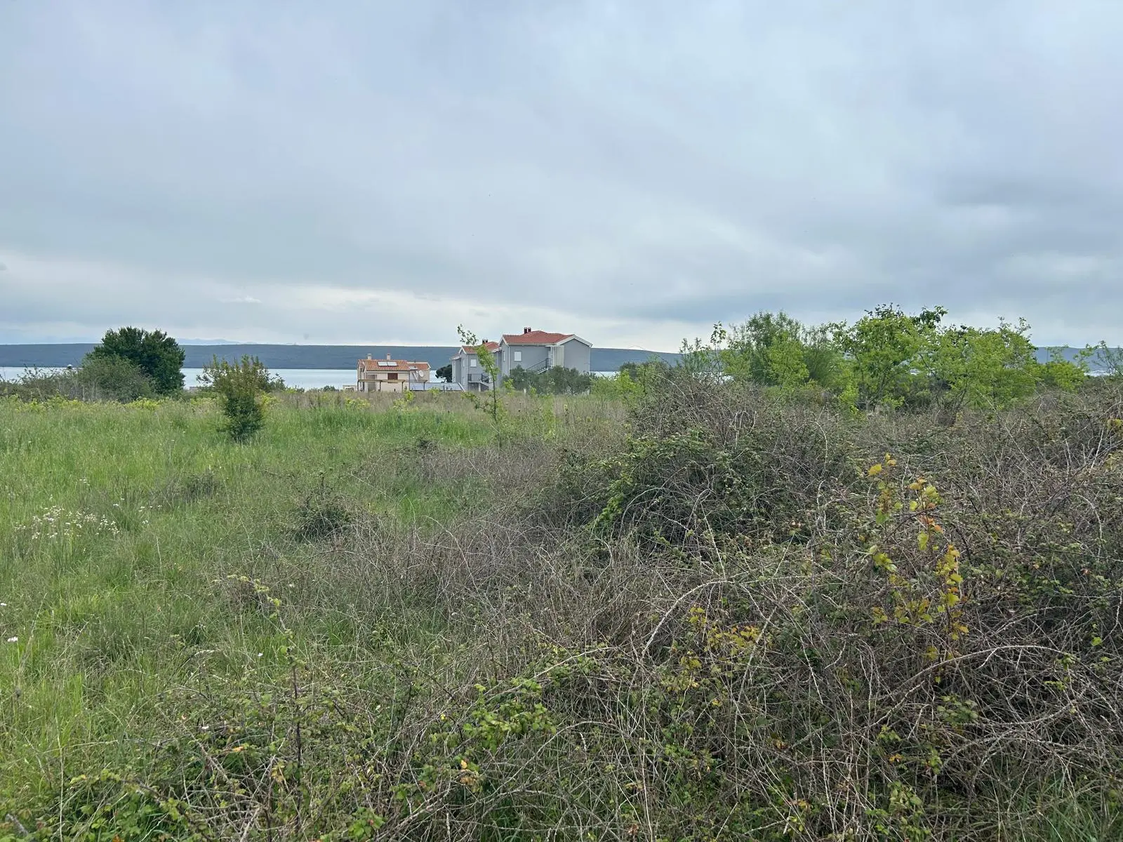 Listing Ad Image